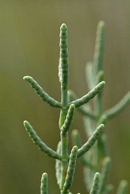 BUITEN BEELD Foto: 322971