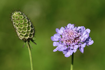 BUITEN BEELD Foto: 323049