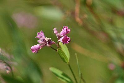BUITEN BEELD Foto: 323062