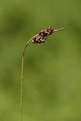 BUITEN BEELD Foto: 323063