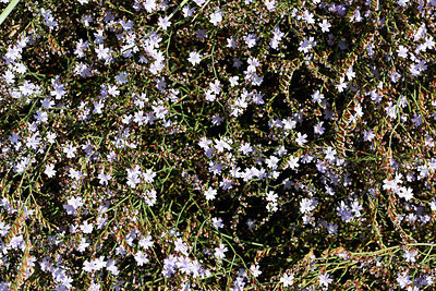 BUITEN BEELD Foto: 323077