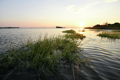 BUITEN BEELD Foto: 323146