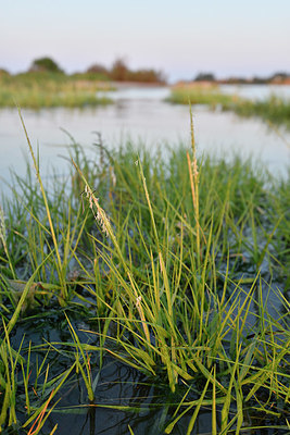 BUITEN BEELD Foto: 323150
