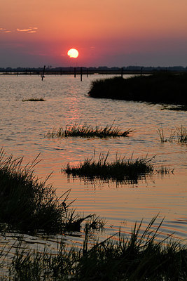 BUITEN BEELD Foto: 323156