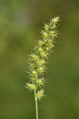 BUITEN BEELD Foto: 323190