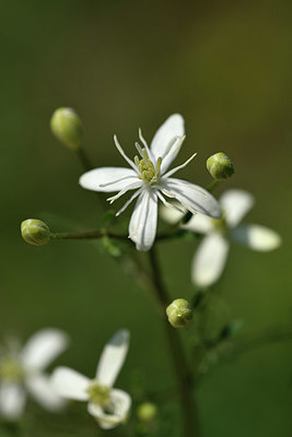 BUITEN BEELD Foto: 323304