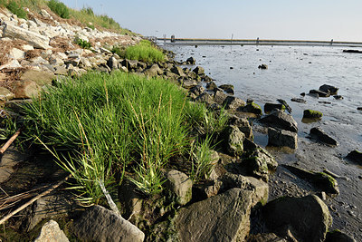 BUITEN BEELD Foto: 323316