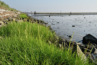 BUITEN BEELD Foto: 323318