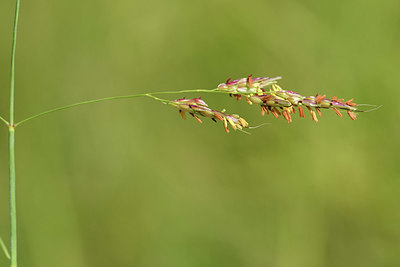 BUITEN BEELD Foto: 323353