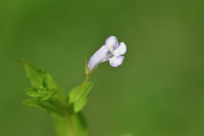 BUITEN BEELD Foto: 323360