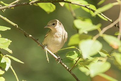 BUITEN BEELD Foto: 323436