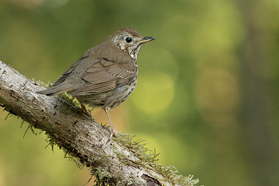 BUITEN BEELD Foto: 323441