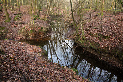 BUITEN BEELD Foto: 323451