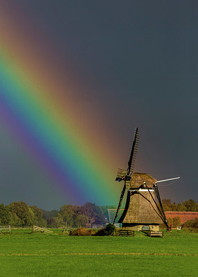 BUITEN BEELD Foto: 323460