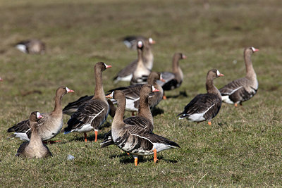 BUITEN BEELD Foto: 323705
