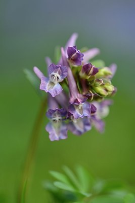 BUITEN BEELD Foto: 323753