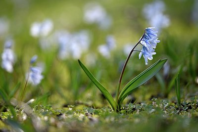 BUITEN BEELD Foto: 323759