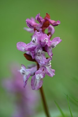 BUITEN BEELD Foto: 323760