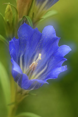 BUITEN BEELD Foto: 323850