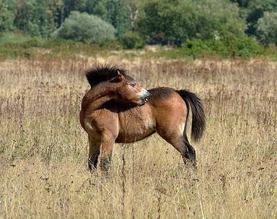 BUITEN BEELD Foto: 323853