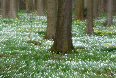 BUITEN BEELD Foto: 323859