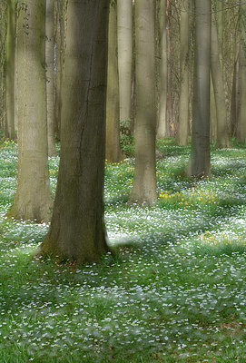 BUITEN BEELD Foto: 323860