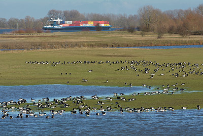 BUITEN BEELD Foto: 323862