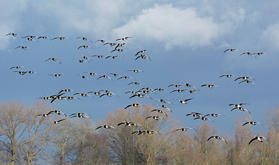 BUITEN BEELD Foto: 323867