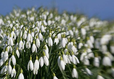 BUITEN BEELD Foto: 323868