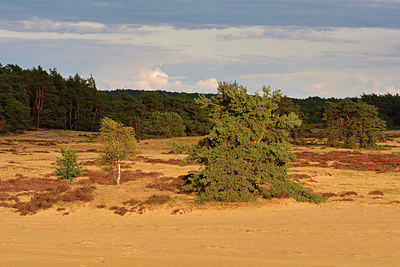 BUITEN BEELD Foto: 323876