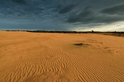 BUITEN BEELD Foto: 323878