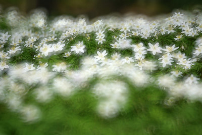 BUITEN BEELD Foto: 323880