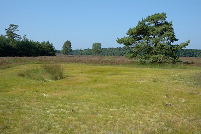BUITEN BEELD Foto: 323892
