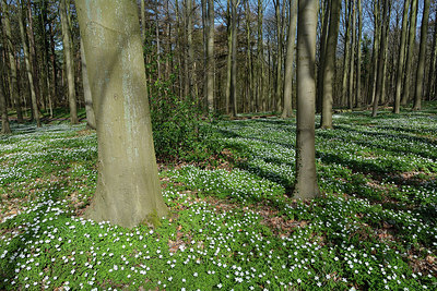BUITEN BEELD Foto: 323896