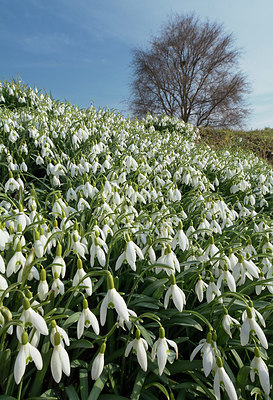 BUITEN BEELD Foto: 323900