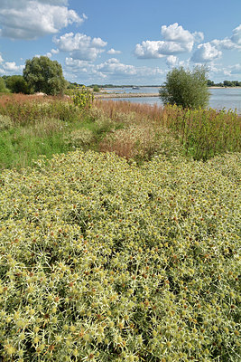 BUITEN BEELD Foto: 323903