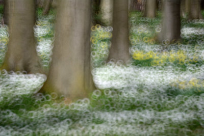 BUITEN BEELD Foto: 323907