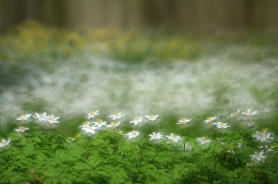 BUITEN BEELD Foto: 323920
