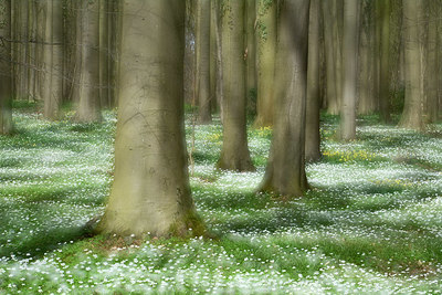 BUITEN BEELD Foto: 323931