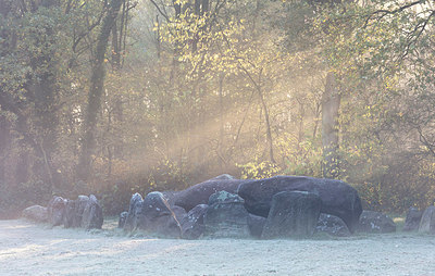BUITEN BEELD Foto: 323938
