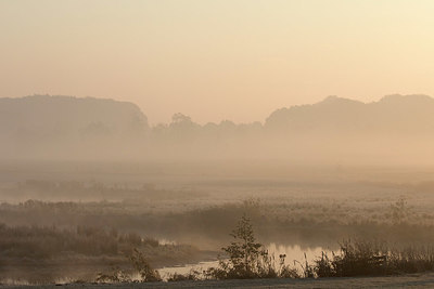 BUITEN BEELD Foto: 323985