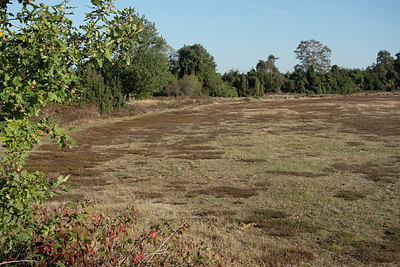 BUITEN BEELD Foto: 324004