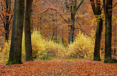 BUITEN BEELD Foto: 324007