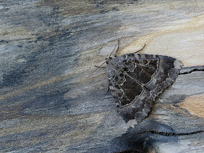 BUITEN BEELD Foto: 324045
