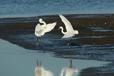BUITEN BEELD Foto: 324078
