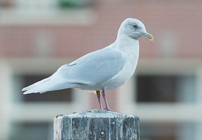 BUITEN BEELD Foto: 324082