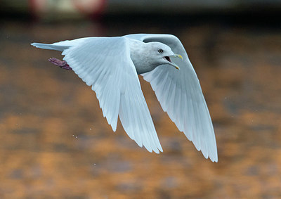BUITEN BEELD Foto: 324084