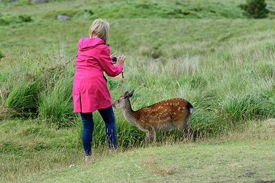 BUITEN BEELD Foto: 324128
