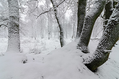 BUITEN BEELD Foto: 324131