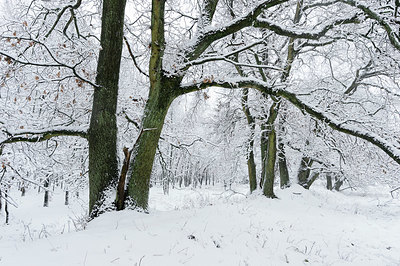 BUITEN BEELD Foto: 324132